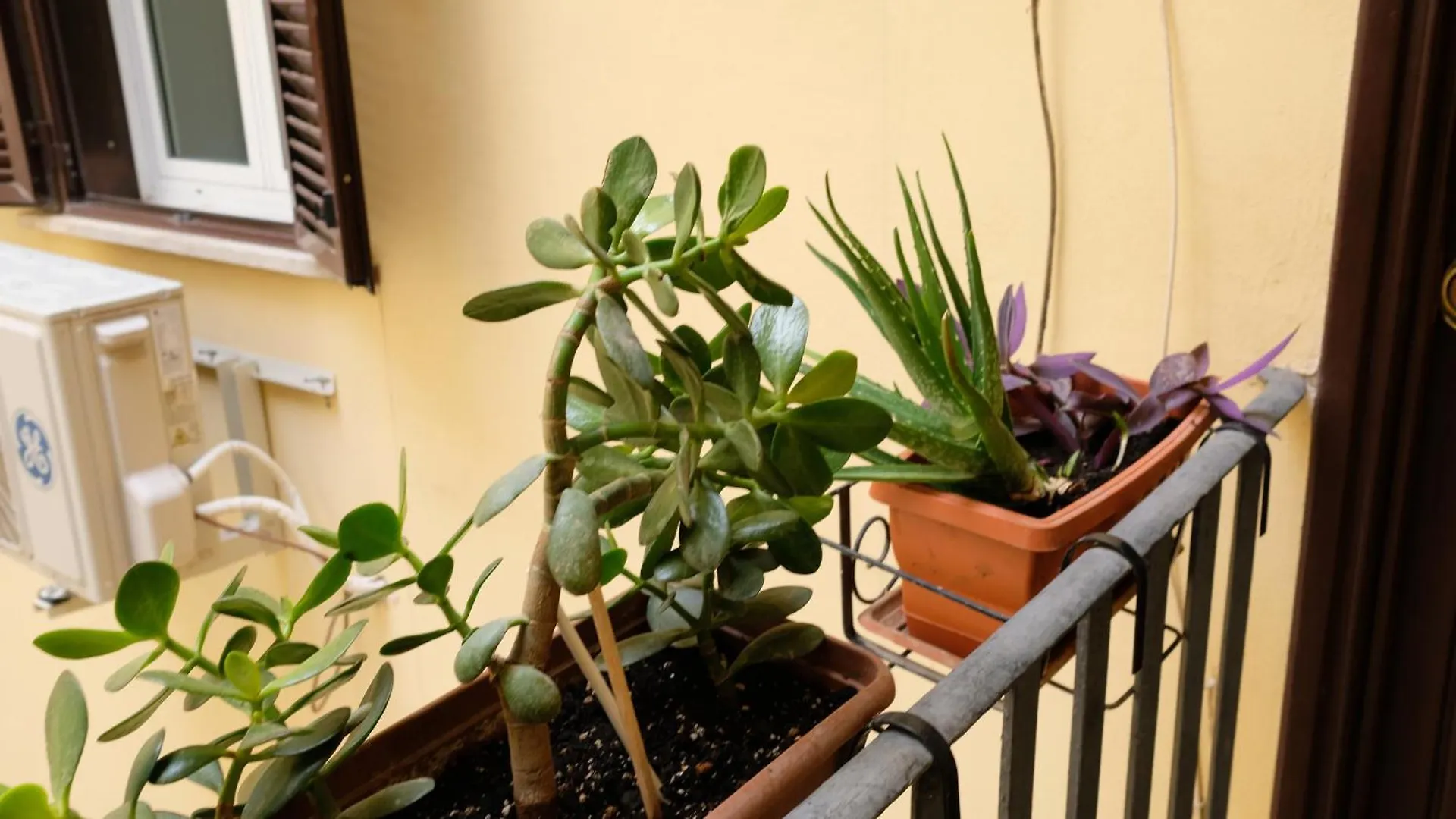 Apartment New! True-Stevere Amazing Double Bed For 5 Pax Rome