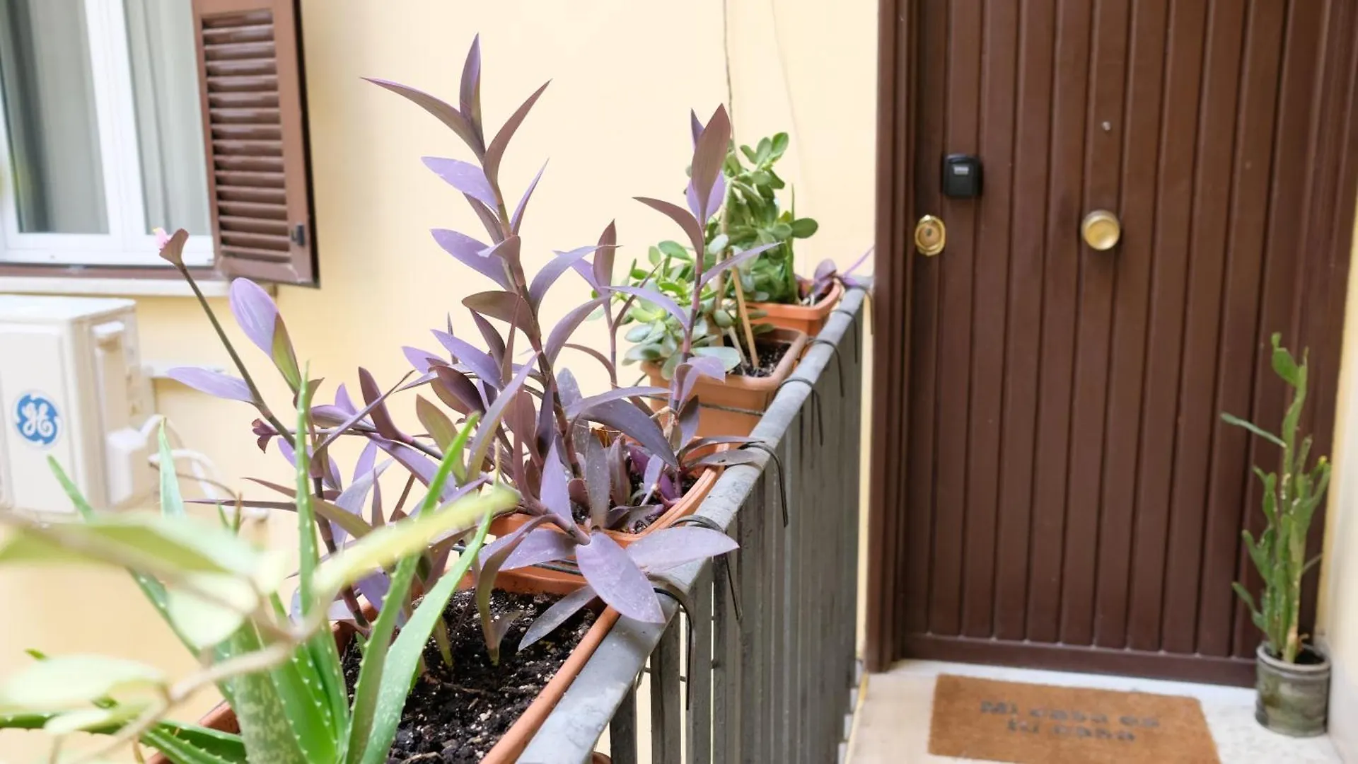New! True-Stevere Amazing Double Bed For 5 Pax Rome